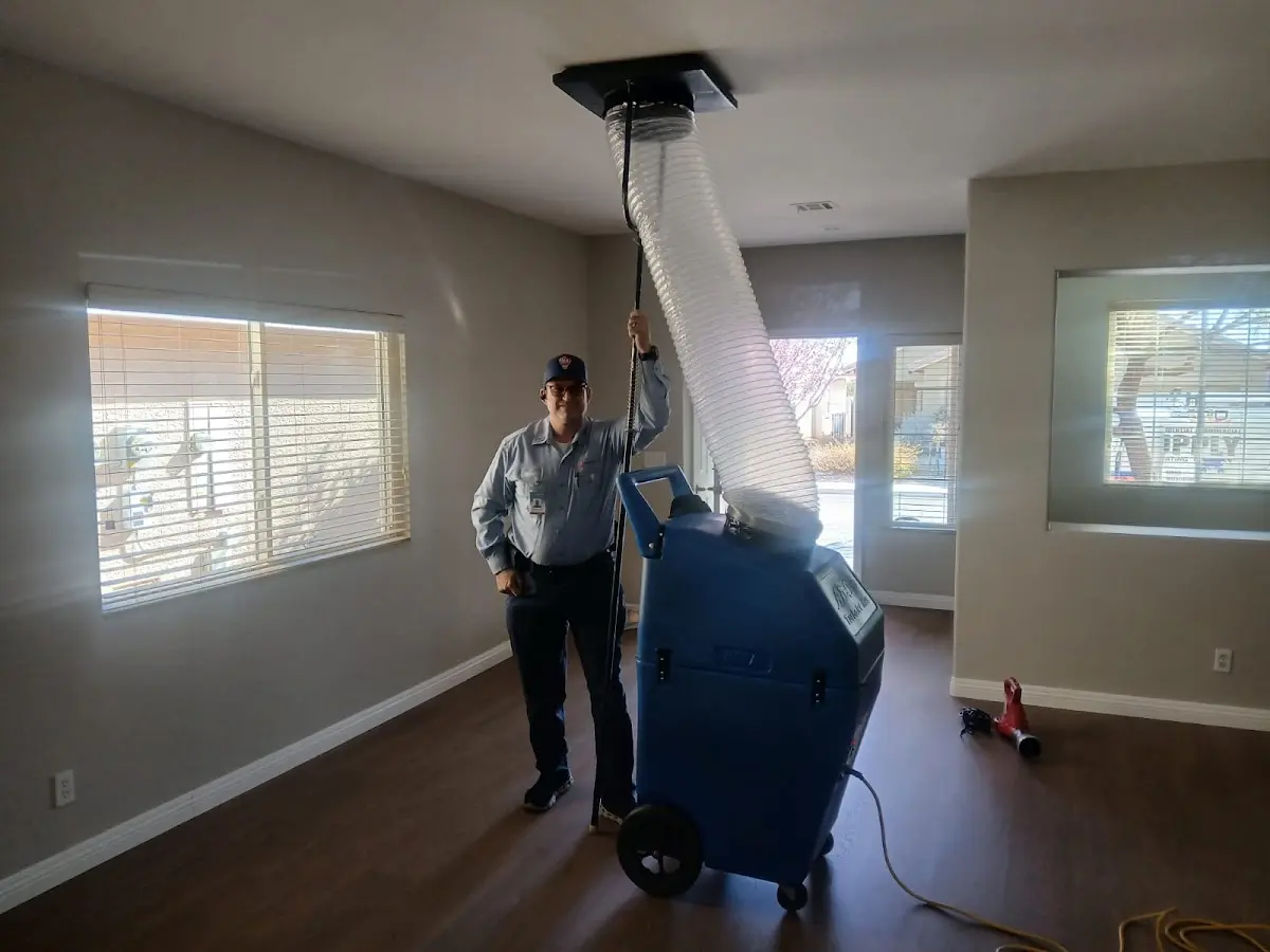 Professional Dryer Vent Cleaning work inside a Memphis home